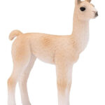 Láma bébi M